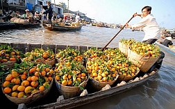 Bến Tre - Cần Thơ 2 Ngày 1 Đêm
