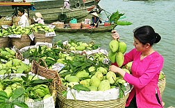 Khám Phá Vùng Đất Tây Đô 1 Ngày