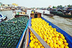 Chương Trình 3 Ngày: MỸ THO - BẾN TRE - CẦN THƠ - CHÂU ĐỐC