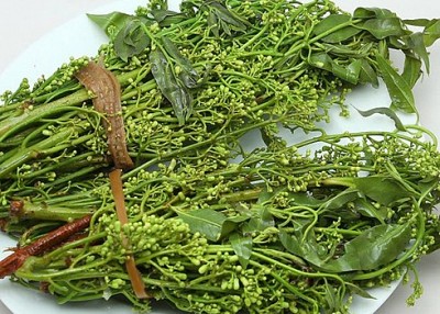 Gỏi Sầu Đâu Miền Tây Gỏi Sầu Đâu Miền Tây
