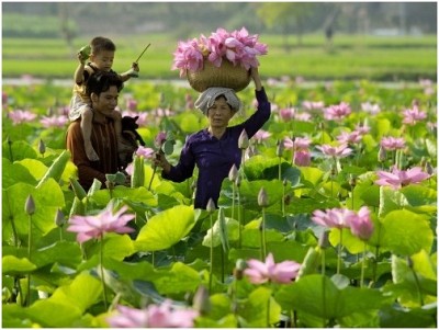 Kinh Nghiệm Du Lịch Đồng Tháp Kinh Nghiệm Du Lịch Đồng Tháp