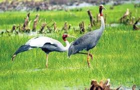 Bến Tre – Cần Thơ – Châu Đốc – Hà Tiên