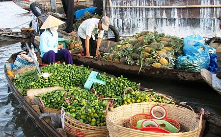 Bến Tre - Châu Đốc - Cần Thơ 3N/2Đ