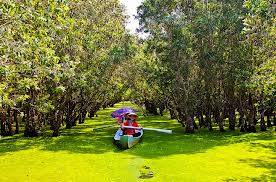 hành trình An Giang Mùa Nước Nổi: Búng Bình Thiên-Rừng Tràm Trà Sư- Châu Đốc