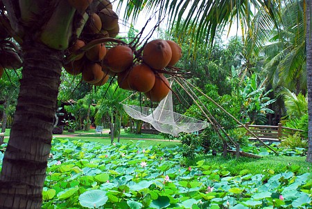 Khởi Hành Từ Hà Nội 5 Ngày 4 Đêm: Cần Thơ - Cà Mau - Bạc Liêu - Mỹ Tho - Bến Tre - Sài Gòn