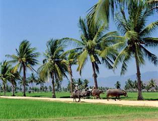 Chương Trình 4 Ngày 3 Đêm Dịp Lễ 30/4: Cần Thơ - Châu Đốc - Hà Tiên