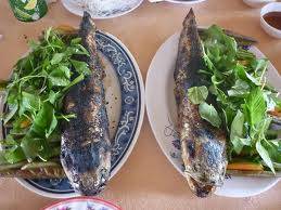 Đồng Tháp Mười - Châu Đốc - Rừng Trà Sư - Kênh Vĩnh Tế