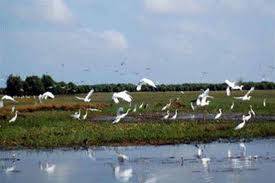 Đồng Tháp Mười - Châu Đốc - Rừng Trà Sư - Kênh Vĩnh Tế