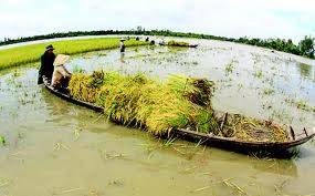 Đồng Tháp Mười - Châu Đốc - Rừng Trà Sư - Kênh Vĩnh Tế