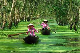 Đồng Tháp Mười - Châu Đốc - Rừng Trà Sư - Kênh Vĩnh Tế