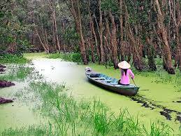 Đồng Tháp Mười - Châu Đốc - Rừng Trà Sư - Kênh Vĩnh Tế
