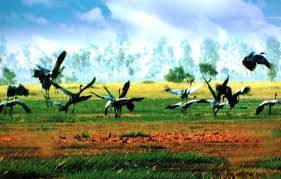 Đồng Tháp Mười - Châu Đốc - Rừng Trà Sư - Kênh Vĩnh Tế