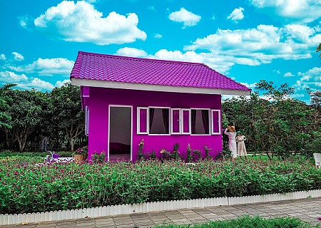 HÀ NỘI - CẦN THƠ - BẠC LIÊU - CÀ MAU - CHÂU ĐỐC