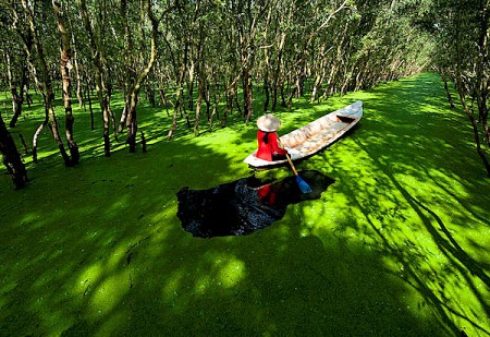 Khởi Hàng Từ Hà Nội: Hà Nội – Sài Gòn – Mỹ Tho – Cần Thơ