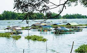 hành trình An Giang Mùa Nước Nổi: Búng Bình Thiên-Rừng Tràm Trà Sư- Châu Đốc