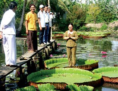 Sài Gòn - Đồng Tháp - Gáo Giồng