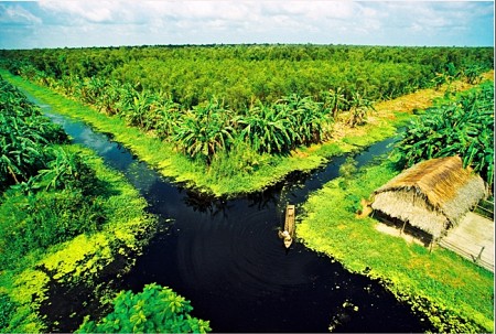 TIỀN GIANG - BẾN TRE - CẦN THƠ - SÓC TRĂNG - BẠC LIÊU - CÀ MAU