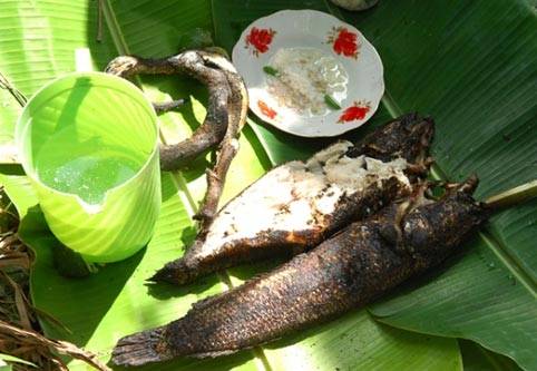 Cá Lóc Nướng - Ảnh 3 Cá Lóc Nướng - Ảnh 3
