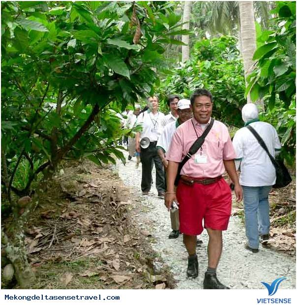 Cồn Qui - Ảnh 1 Cồn Qui - Ảnh 1