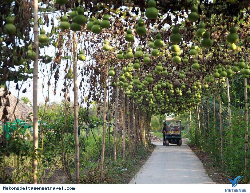 Cuộc hành trình ngắn ngày chinh phục mảnh đất đồng bằng sông Cửu Long, chỉ với nửa trang giấy. - Ảnh 4