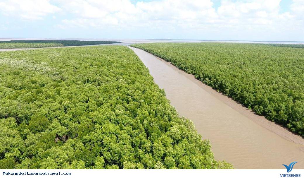 Cuộc hành trình ngắn ngày chinh phục mảnh đất đồng bằng sông Cửu Long, chỉ với nửa trang giấy. - Ảnh 2