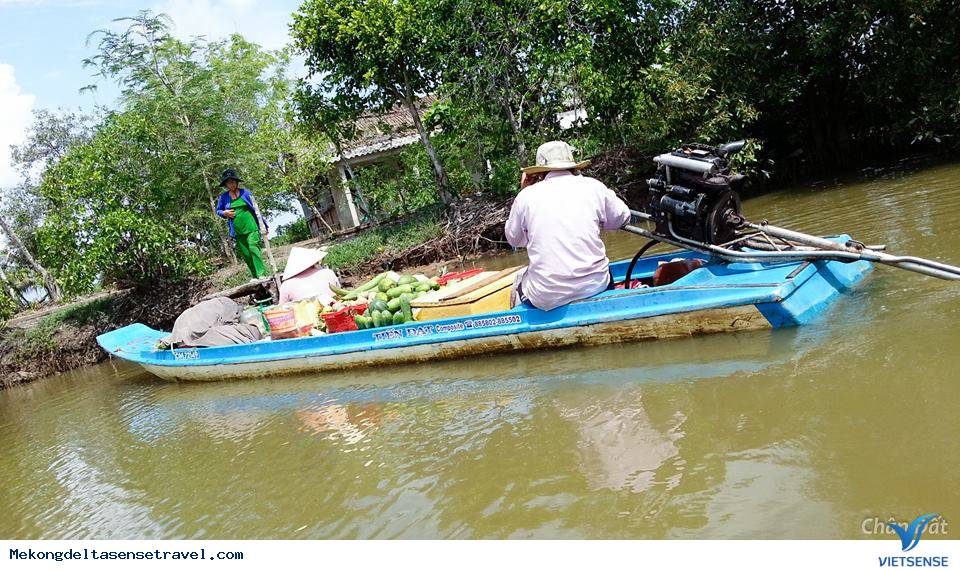 Cuộc sống trên sông nước ở đất mũi cà mau - Ảnh 4