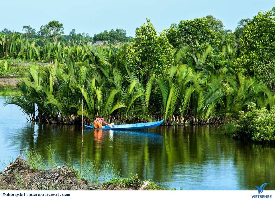 Cuộc sống trên sông nước ở đất mũi cà mau - Ảnh 2