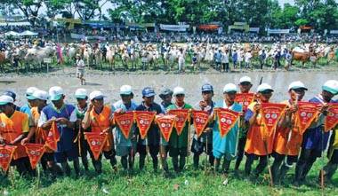 Đến Lễ Hội Dolta Xem Đua Bò Bảy Núi - Ảnh 2 Đến Lễ Hội Dolta Xem Đua Bò Bảy Núi - Ảnh 2