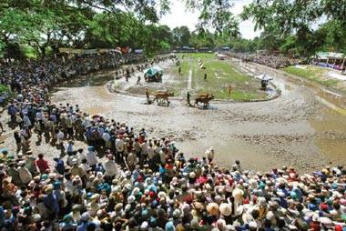 Đến Lễ Hội Dolta Xem Đua Bò Bảy Núi - Ảnh 4 Đến Lễ Hội Dolta Xem Đua Bò Bảy Núi - Ảnh 4