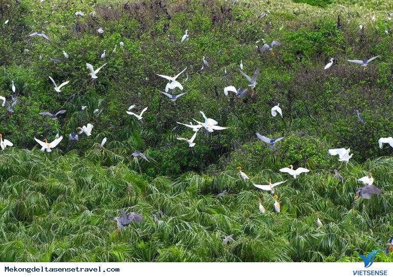 hành trình Bến Tre - Ảnh 3