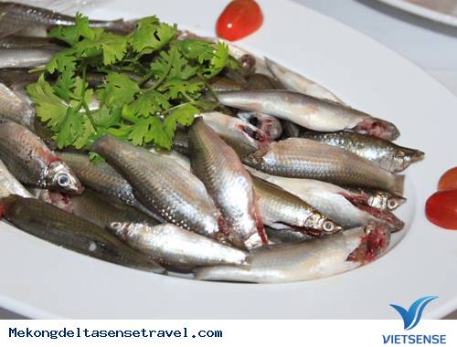 Du Lich Mien Tay an Lau Ca Linh