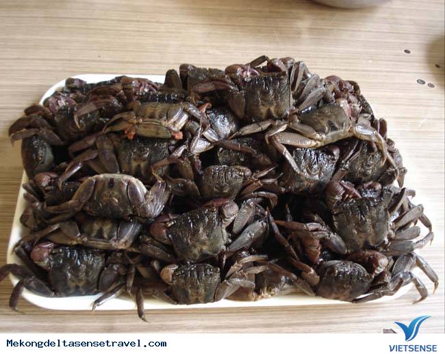 Nhớ Ba Khía cà Mau - Ảnh 1