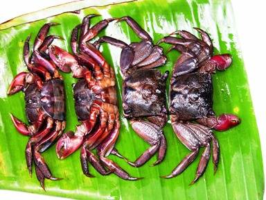 Nhớ Ba Khía cà Mau - Ảnh 2