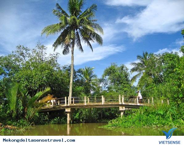 Những điểm thăm quan Nên Đến Ở Bến Tre - Ảnh 3