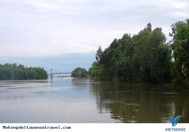 Những điểm thăm quan Nên Đến Ở Bến Tre - Ảnh 4