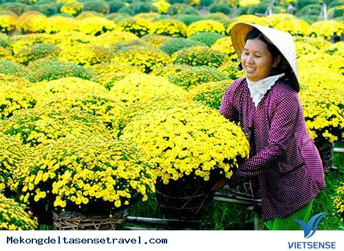 Thăm làng Hoa Sa Đéc dịp Tết - Ảnh 4