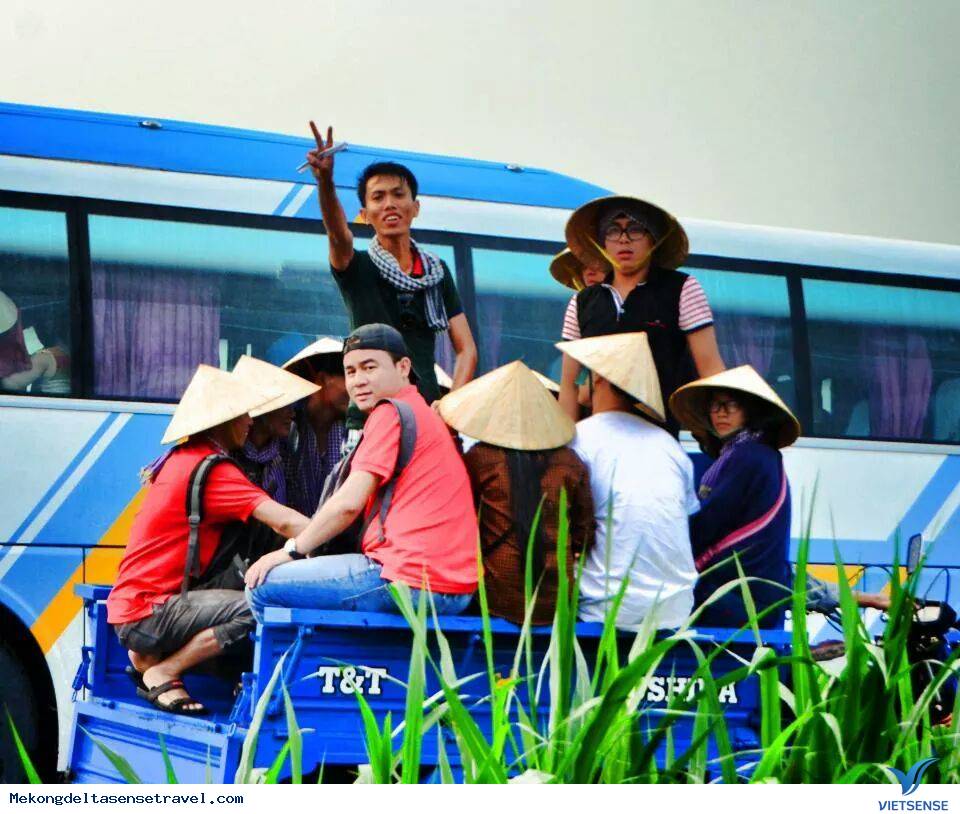 Thăm quan vườn trái cây ở Tiền Giang - Ảnh 2 Thăm quan vườn trái cây ở Tiền Giang - Ảnh 2