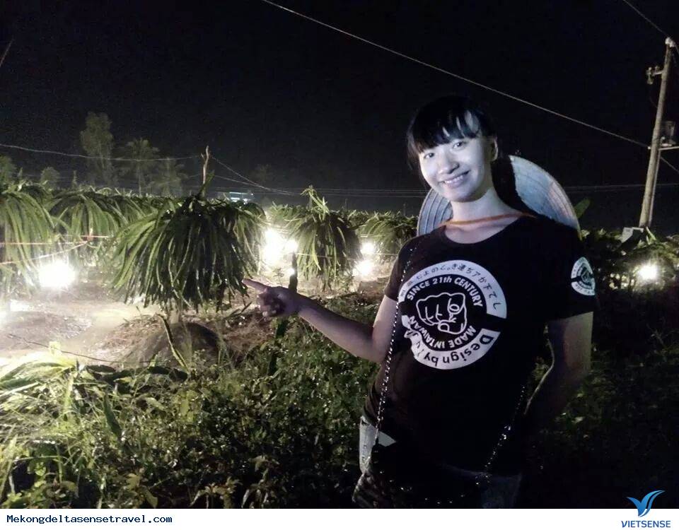 Thăm quan vườn trái cây ở Tiền Giang - Ảnh 5 Thăm quan vườn trái cây ở Tiền Giang - Ảnh 5