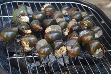 Thơm Lừng Ốc Bươu Nướng Tiêu - Ảnh 1 Thơm Lừng Ốc Bươu Nướng Tiêu - Ảnh 1