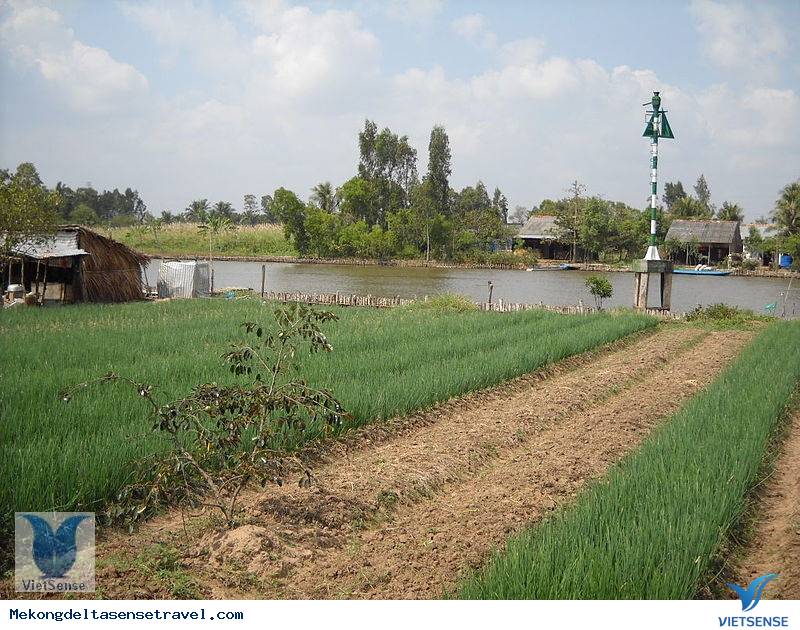 Tỉnh Cà Mau Tỉnh Cà Mau