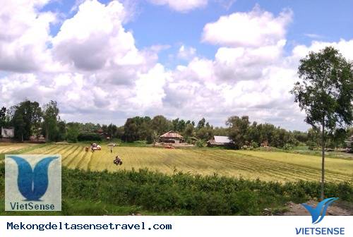 Du lịch miền tây, Tỉnh Long An Du lịch miền tây, Tỉnh Long An