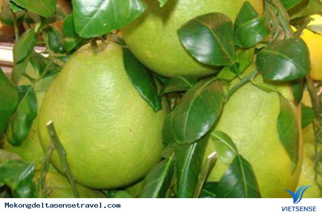 Ngọt ngào hương vị bưởi Năm Roi