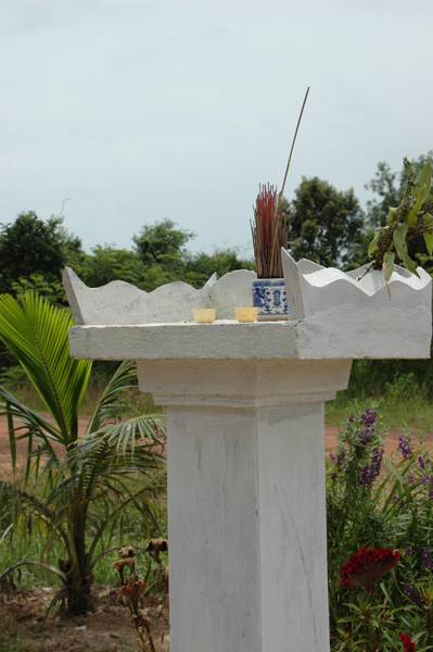 Tục Thờ Thông Thiêng Ở MiềnTây - Ảnh 3 Tục Thờ Thông Thiêng Ở MiềnTây - Ảnh 3