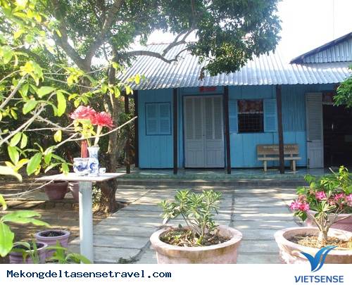 Tục Thờ Thông Thiêng Ở MiềnTây - Ảnh 1 Tục Thờ Thông Thiêng Ở MiềnTây - Ảnh 1