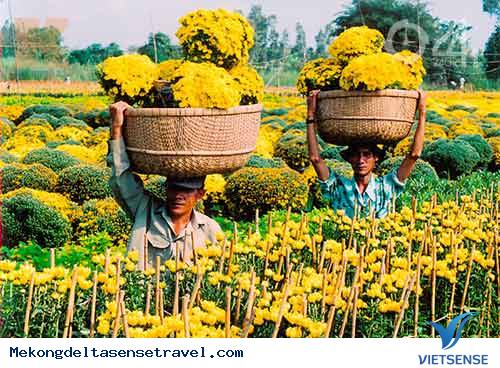 Về Miền Tây Ăn Tết - Ảnh 1