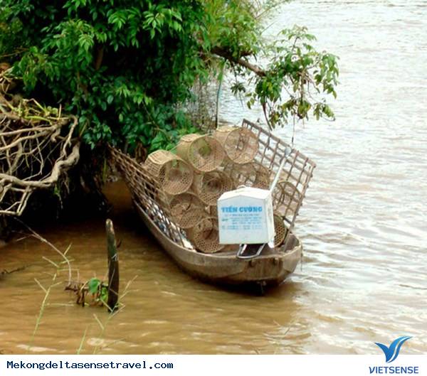 Về miền Tây đặt lờ mùa nước nổi - Ảnh 3 Về miền Tây đặt lờ mùa nước nổi - Ảnh 3