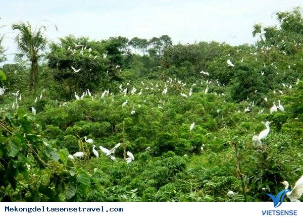 Về Thăm Bạc Liêu - Ảnh 3 Về Thăm Bạc Liêu - Ảnh 3